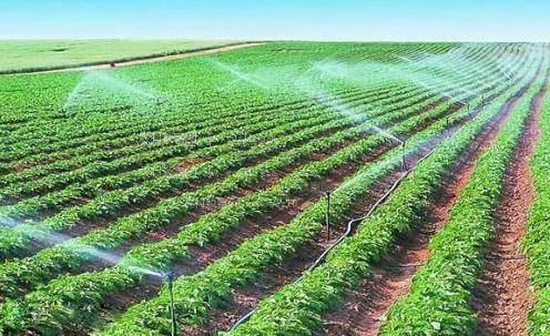 操大黑屄农田高 效节水灌溉